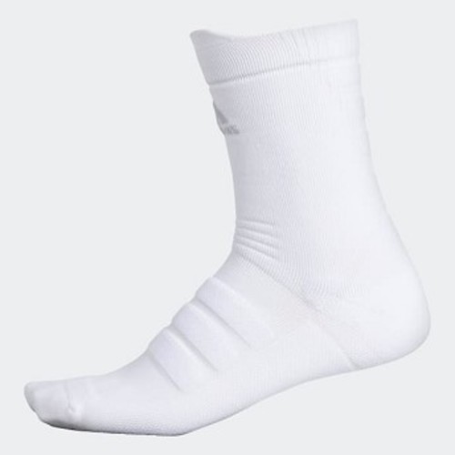 Training Alphaskin Lightweight Socks [아디다스 양말] White (CJ3483)