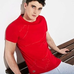 Mens SPORT Crew Neck Tech Jersey T-shirt [라코스테 반팔,폴로티] Red/Red/Bordeaux/Grey Chine-6NY (Selected colour) (TH3492-51)