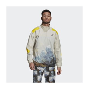 [해외]adidas Sportswear Mountain Graphic Half-Zip Sweatshirt [아디다스 자켓] Aluminium (GL5698)