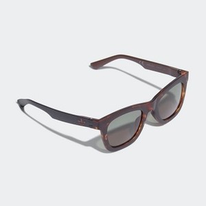 Originals AOR024 Sunglasses [아디다스 선글래스] Brown Black/Black/Collegiate Green (CL1661)